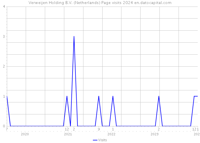 Verweijen Holding B.V. (Netherlands) Page visits 2024 