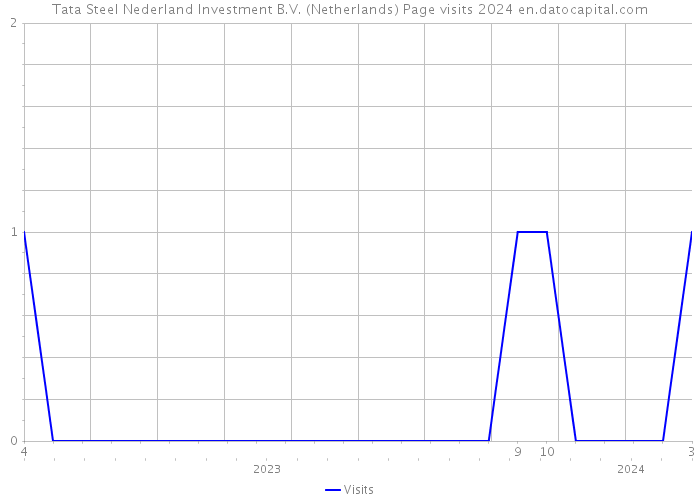 Tata Steel Nederland Investment B.V. (Netherlands) Page visits 2024 