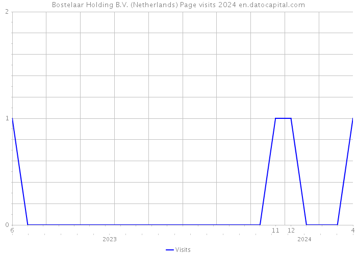 Bostelaar Holding B.V. (Netherlands) Page visits 2024 