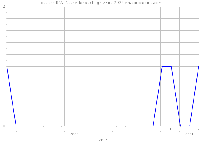 Lossless B.V. (Netherlands) Page visits 2024 