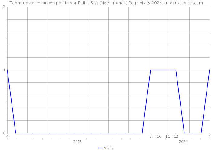 Tophoudstermaatschappij Labor Pallet B.V. (Netherlands) Page visits 2024 