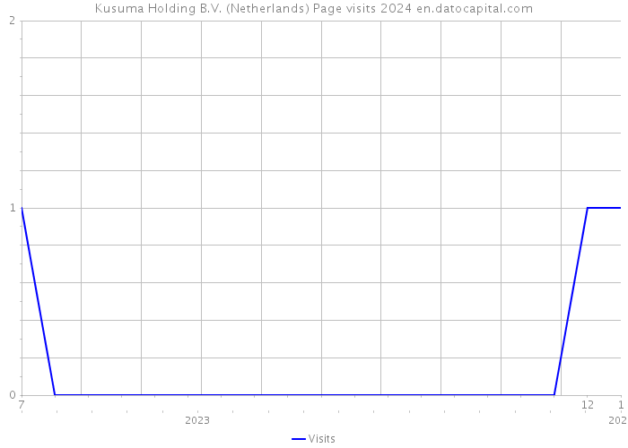 Kusuma Holding B.V. (Netherlands) Page visits 2024 