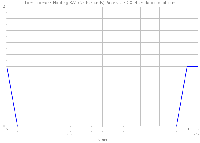 Tom Loomans Holding B.V. (Netherlands) Page visits 2024 