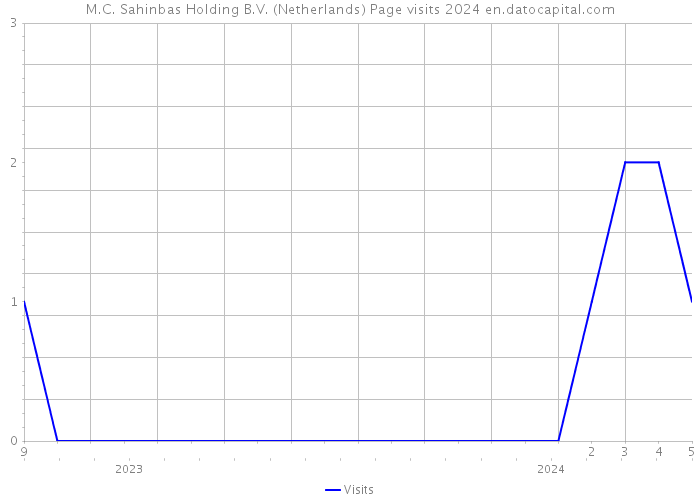 M.C. Sahinbas Holding B.V. (Netherlands) Page visits 2024 