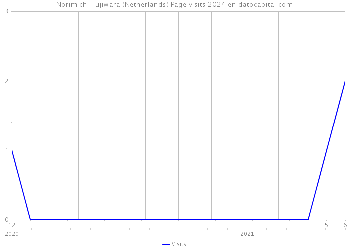Norimichi Fujiwara (Netherlands) Page visits 2024 