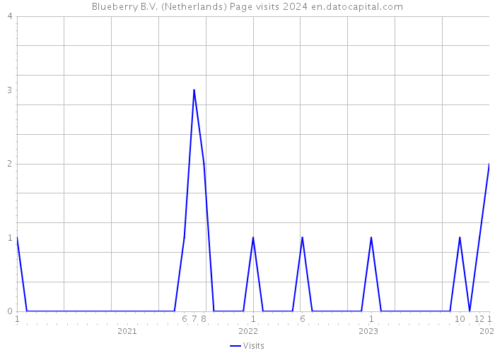 Blueberry B.V. (Netherlands) Page visits 2024 