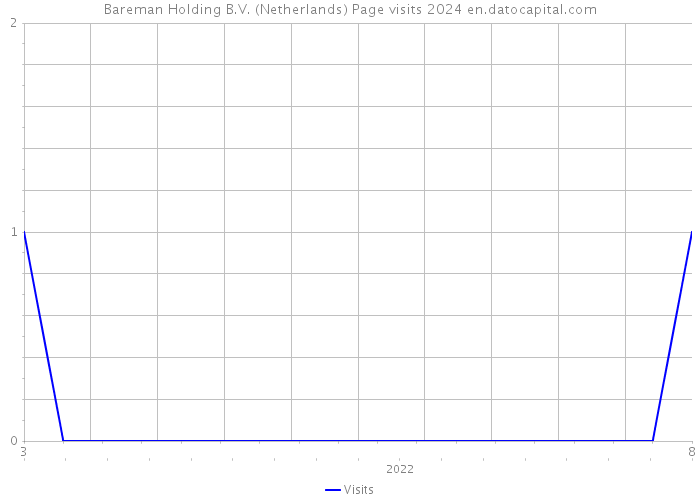 Bareman Holding B.V. (Netherlands) Page visits 2024 