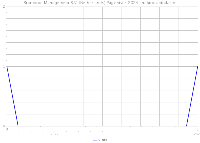 Brampton Management B.V. (Netherlands) Page visits 2024 
