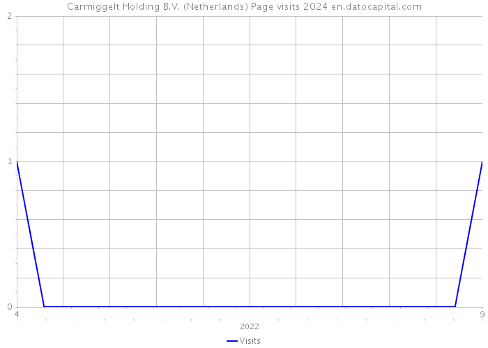 Carmiggelt Holding B.V. (Netherlands) Page visits 2024 