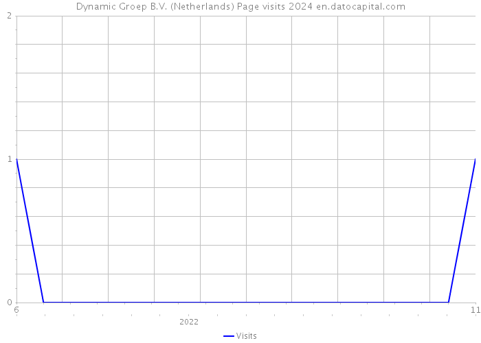 Dynamic Groep B.V. (Netherlands) Page visits 2024 