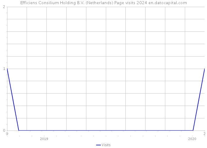 Efficiens Consilium Holding B.V. (Netherlands) Page visits 2024 