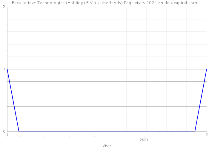 Facultatieve Technologies (Holding) B.V. (Netherlands) Page visits 2024 