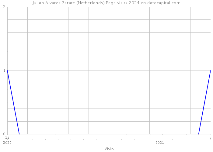 Julian Alvarez Zarate (Netherlands) Page visits 2024 