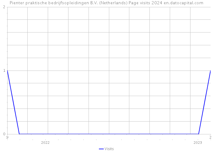 Pienter praktische bedrijfsopleidingen B.V. (Netherlands) Page visits 2024 