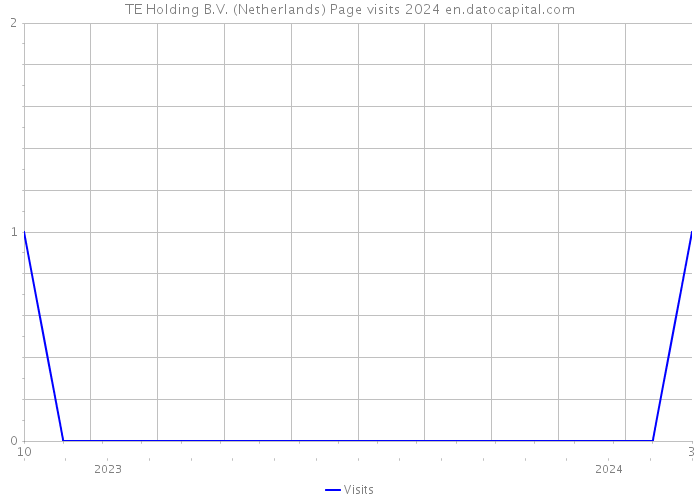 TE Holding B.V. (Netherlands) Page visits 2024 
