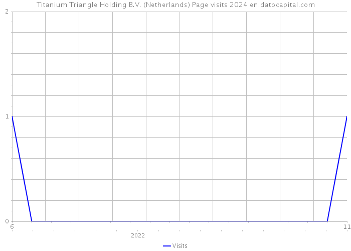 Titanium Triangle Holding B.V. (Netherlands) Page visits 2024 