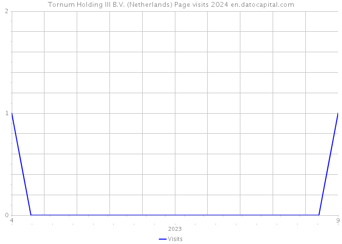 Tornum Holding III B.V. (Netherlands) Page visits 2024 