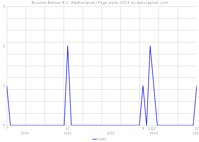 Bruinen Beheer B.V. (Netherlands) Page visits 2024 