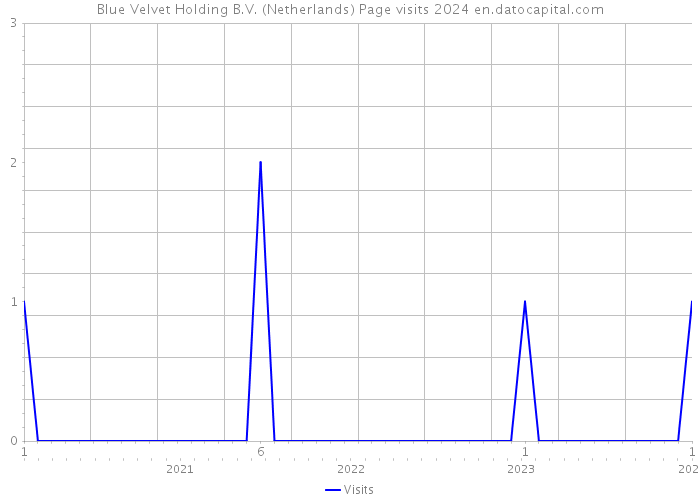 Blue Velvet Holding B.V. (Netherlands) Page visits 2024 