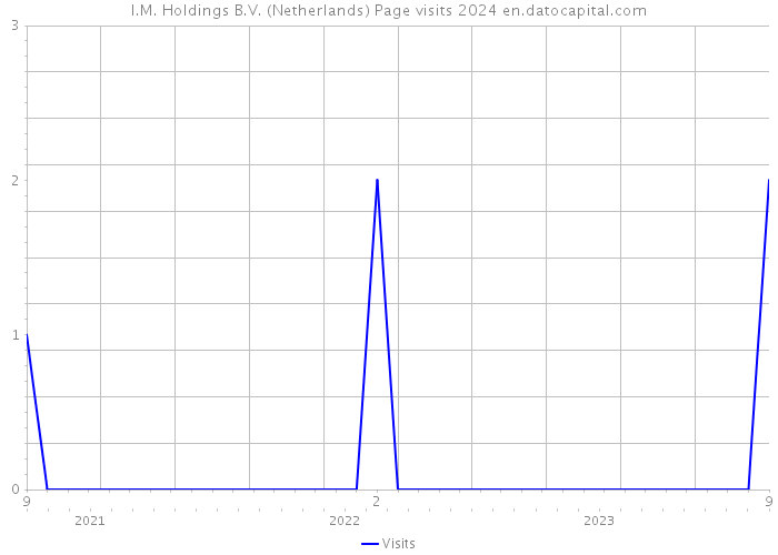 I.M. Holdings B.V. (Netherlands) Page visits 2024 