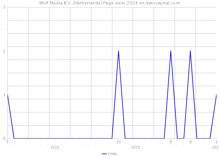 Wolf Media B.V. (Netherlands) Page visits 2024 