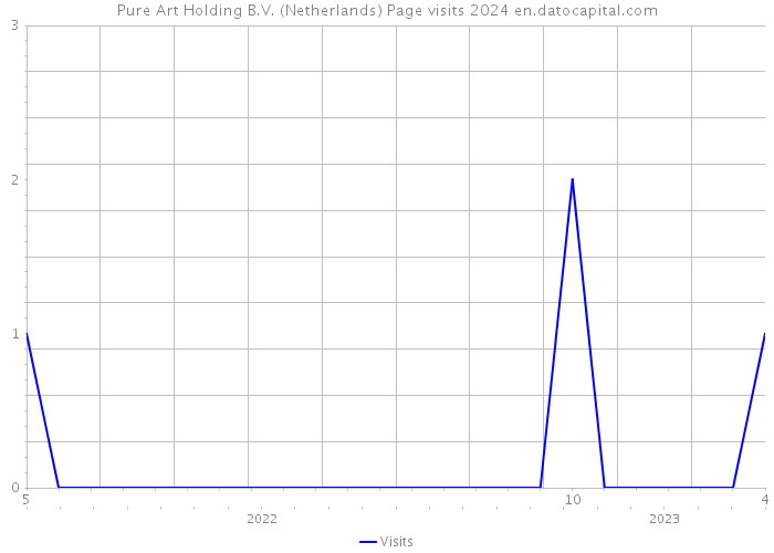 Pure Art Holding B.V. (Netherlands) Page visits 2024 