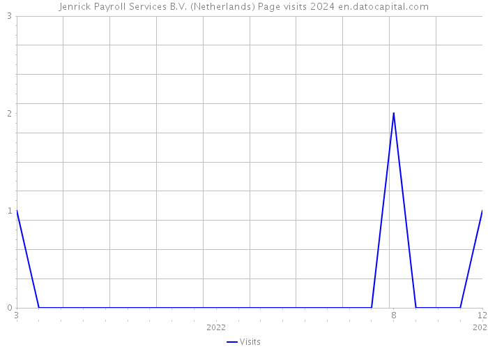 Jenrick Payroll Services B.V. (Netherlands) Page visits 2024 
