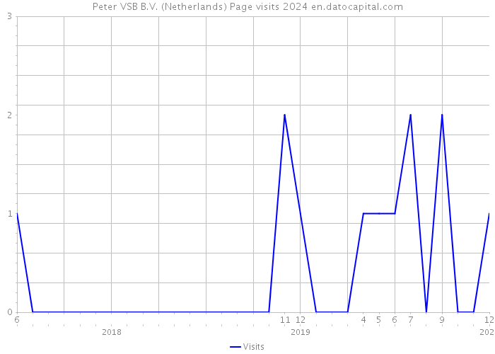 Peter VSB B.V. (Netherlands) Page visits 2024 