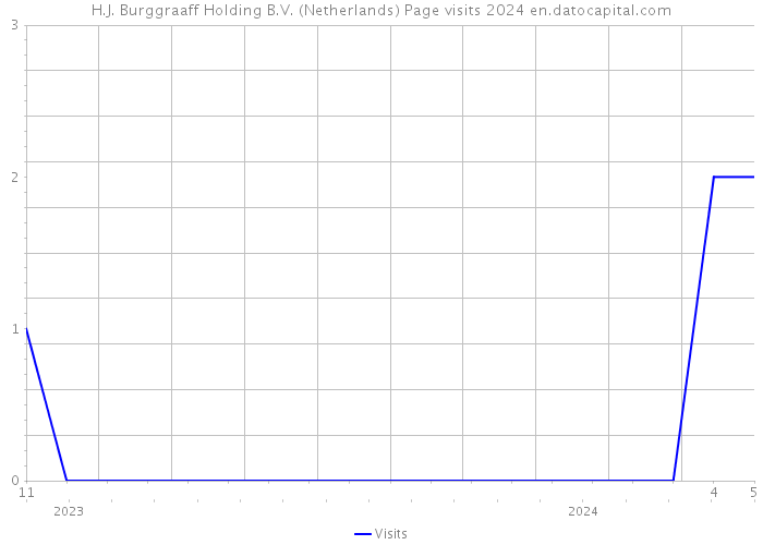 H.J. Burggraaff Holding B.V. (Netherlands) Page visits 2024 