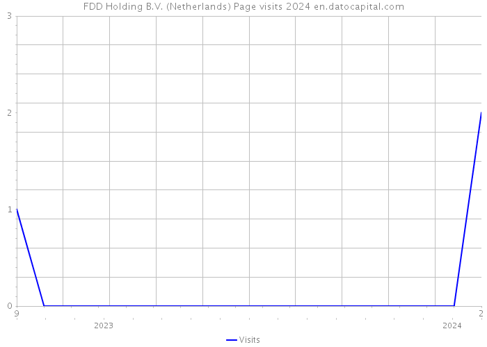 FDD Holding B.V. (Netherlands) Page visits 2024 