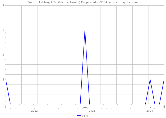 Deroli Holding B.V. (Netherlands) Page visits 2024 