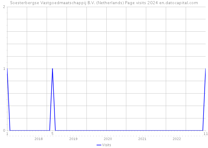 Soesterbergse Vastgoedmaatschappij B.V. (Netherlands) Page visits 2024 
