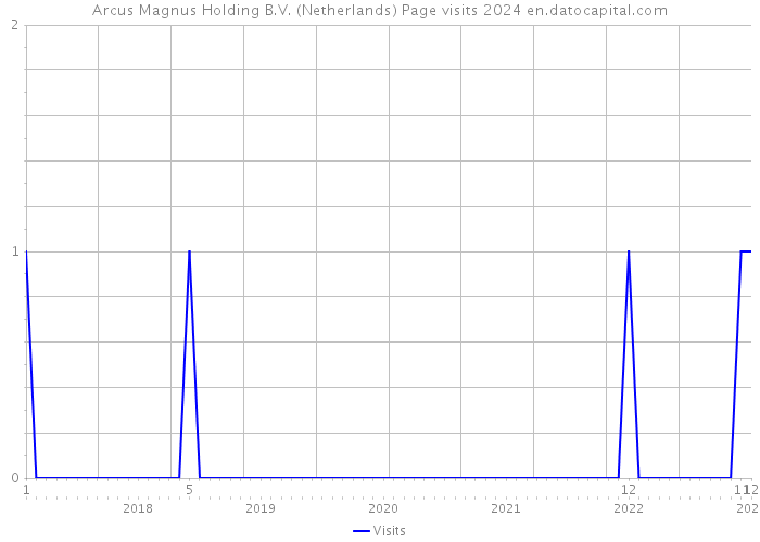 Arcus Magnus Holding B.V. (Netherlands) Page visits 2024 