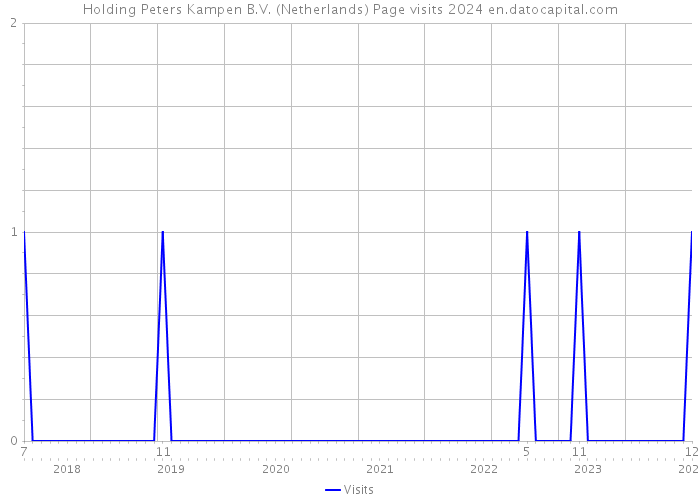 Holding Peters Kampen B.V. (Netherlands) Page visits 2024 