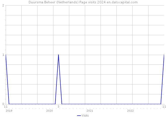 Duursma Beheer (Netherlands) Page visits 2024 
