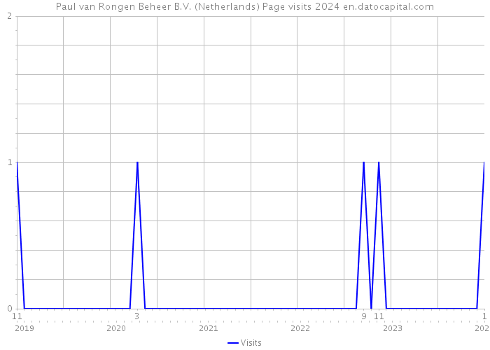 Paul van Rongen Beheer B.V. (Netherlands) Page visits 2024 