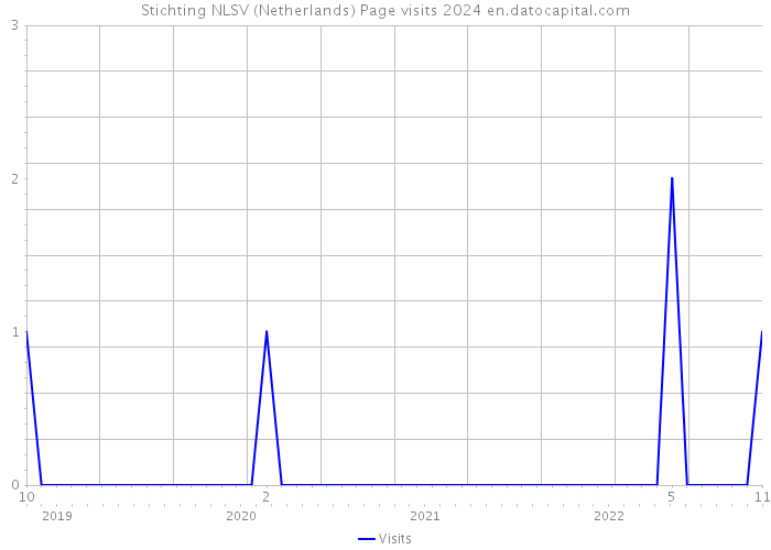 Stichting NLSV (Netherlands) Page visits 2024 