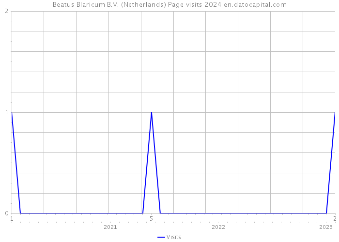 Beatus Blaricum B.V. (Netherlands) Page visits 2024 