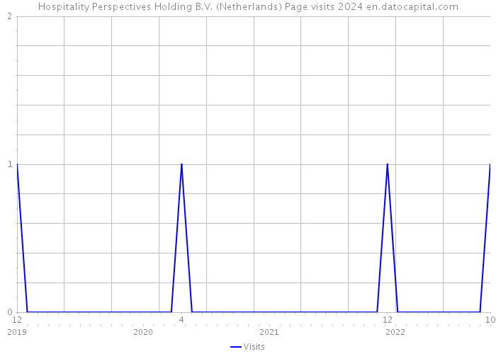 Hospitality Perspectives Holding B.V. (Netherlands) Page visits 2024 