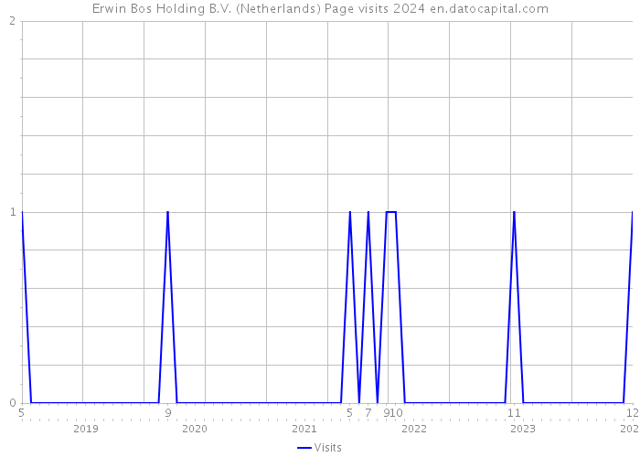 Erwin Bos Holding B.V. (Netherlands) Page visits 2024 