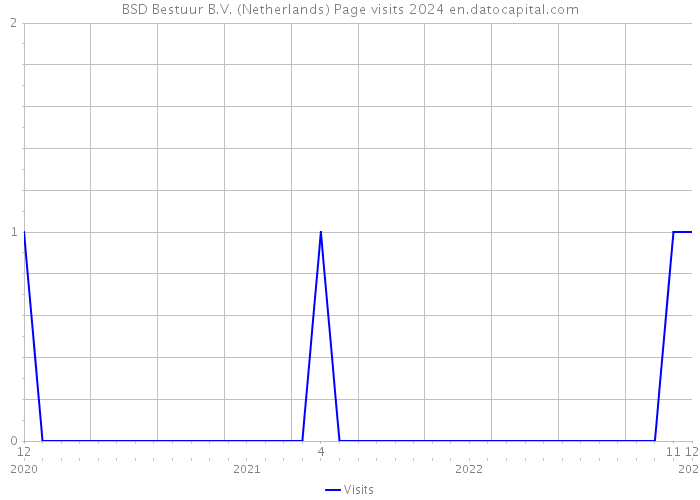 BSD Bestuur B.V. (Netherlands) Page visits 2024 