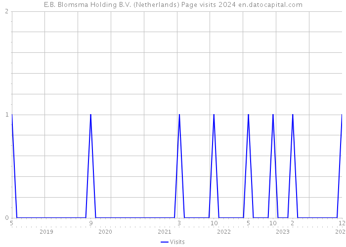 E.B. Blomsma Holding B.V. (Netherlands) Page visits 2024 