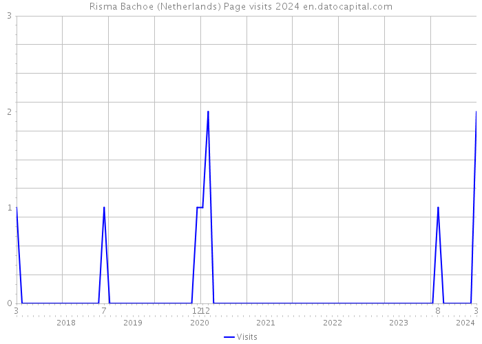 Risma Bachoe (Netherlands) Page visits 2024 