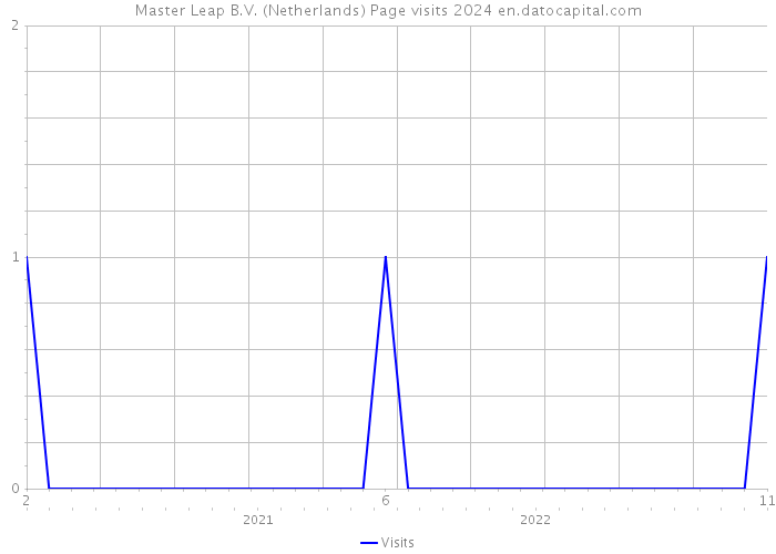 Master Leap B.V. (Netherlands) Page visits 2024 