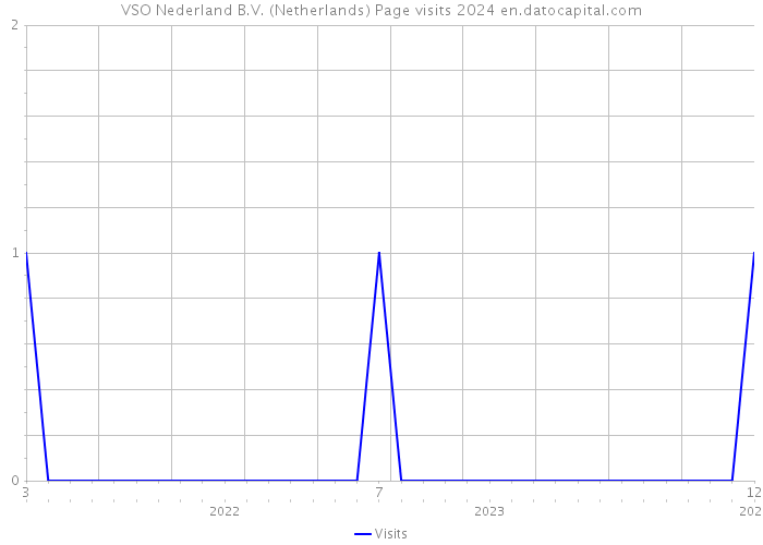 VSO Nederland B.V. (Netherlands) Page visits 2024 