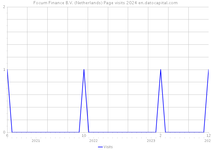 Focum Finance B.V. (Netherlands) Page visits 2024 