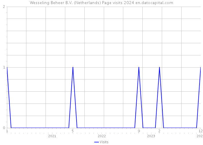 Wesseling Beheer B.V. (Netherlands) Page visits 2024 