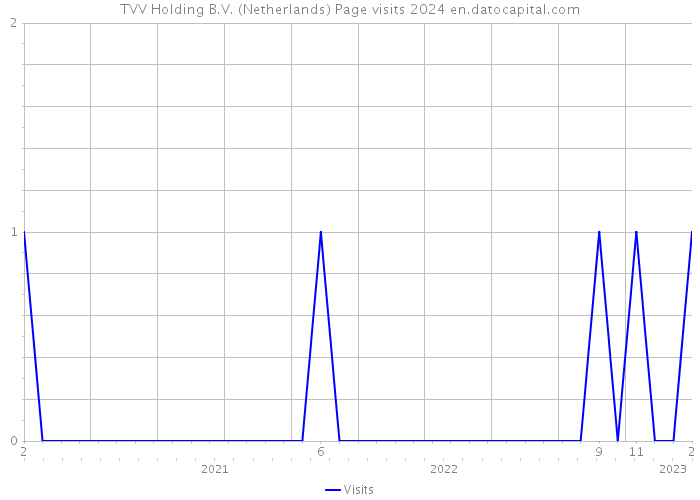 TVV Holding B.V. (Netherlands) Page visits 2024 