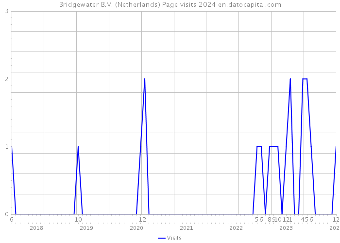 Bridgewater B.V. (Netherlands) Page visits 2024 