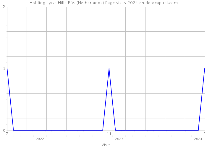 Holding Lytse Hille B.V. (Netherlands) Page visits 2024 